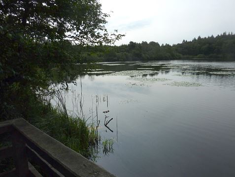 1-11 Oberteich bei Kasseedorf