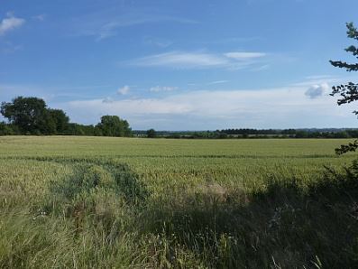 Auf den Weg zur Trave