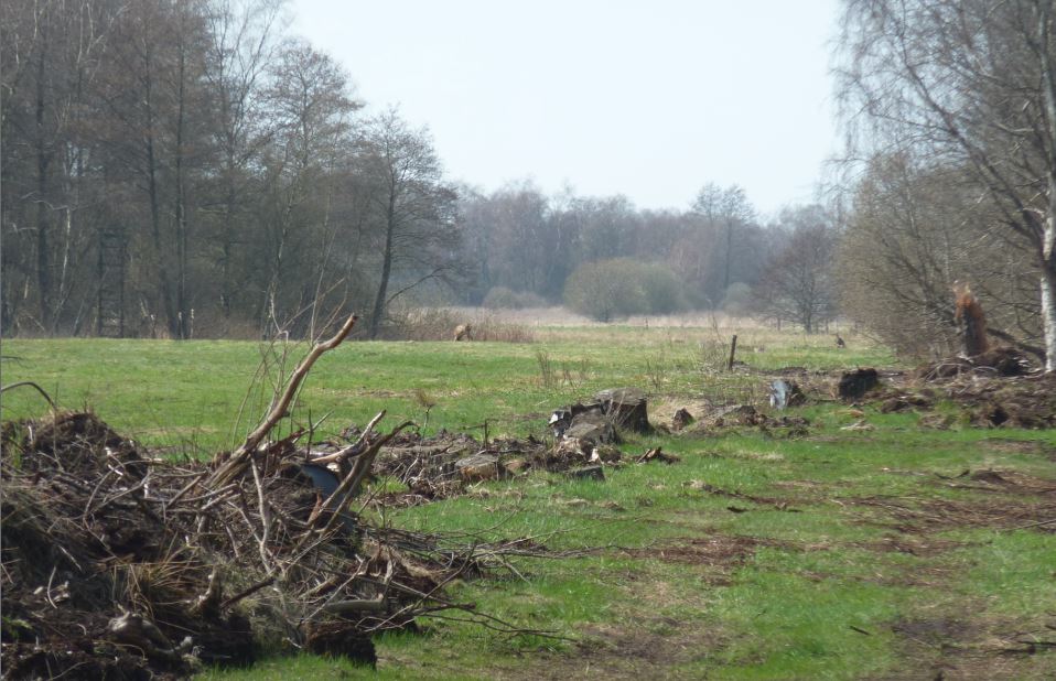 Naturschutzgebiet Moorgrtel