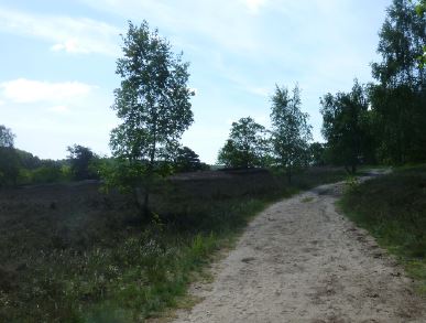 Fischbecker Heide