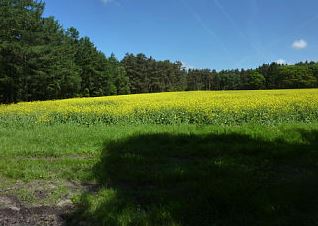 Fischbecker Heide