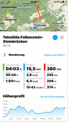 Thalmhle/Falkenstein - Steinbrcken