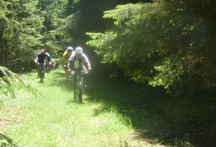 5.5 Radfahrer mitten im Wald