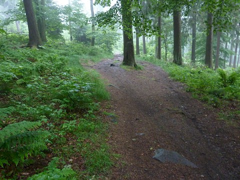 7-4-2c Aufstieg zum Feldberg