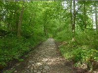 Abgang zum Gottorfer Gartenpark