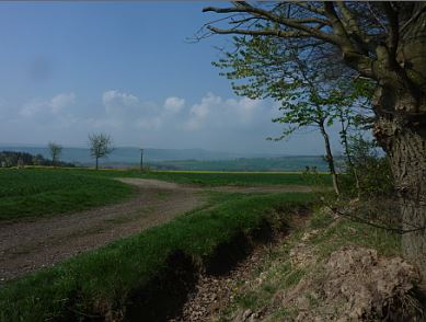 Hamelner Stadtforst